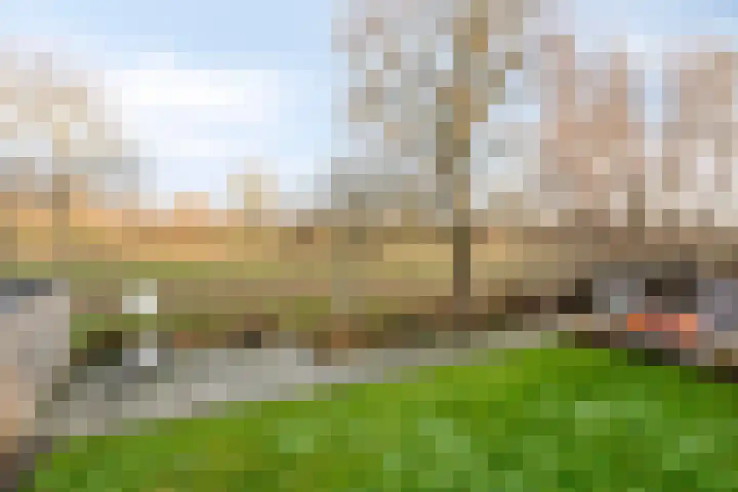 Harspit 6 Kootstertille thumbnail 36
