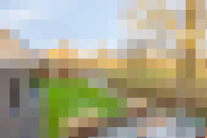 Harspit 6 Kootstertille thumbnail 37