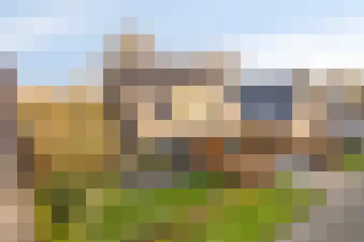 Harspit 6 Kootstertille thumbnail 40