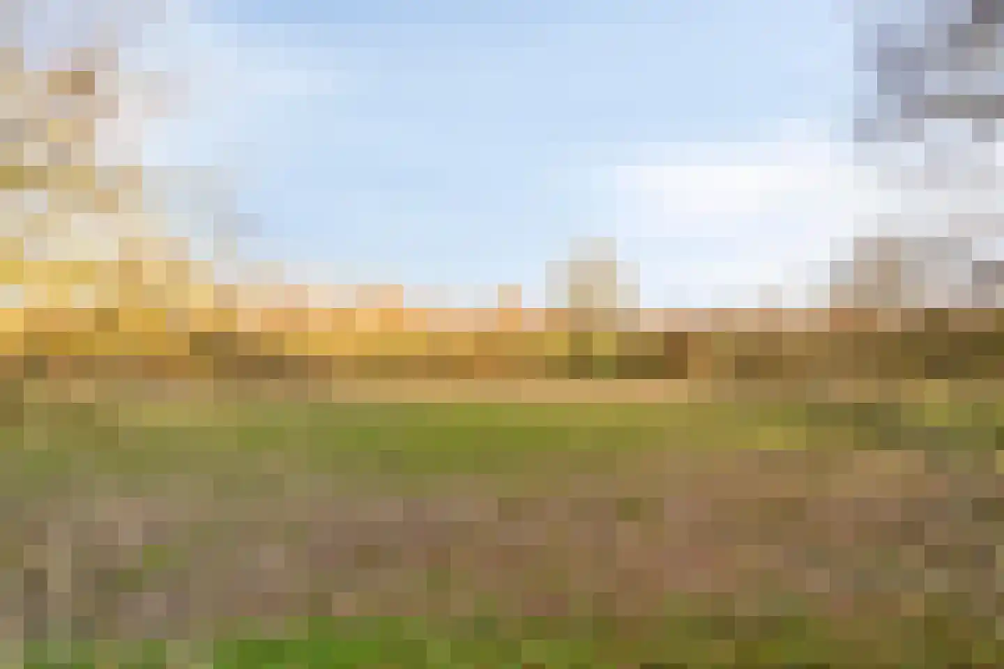 Harspit 6 Kootstertille thumbnail 46