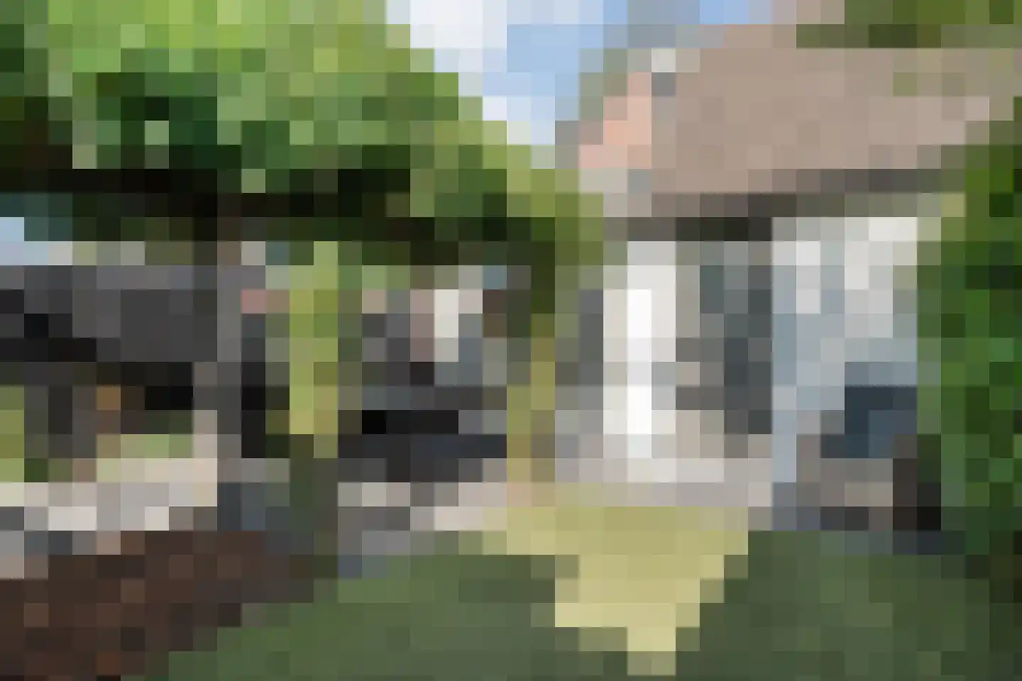 Harsseveldhoek 29 Enschede thumbnail 38