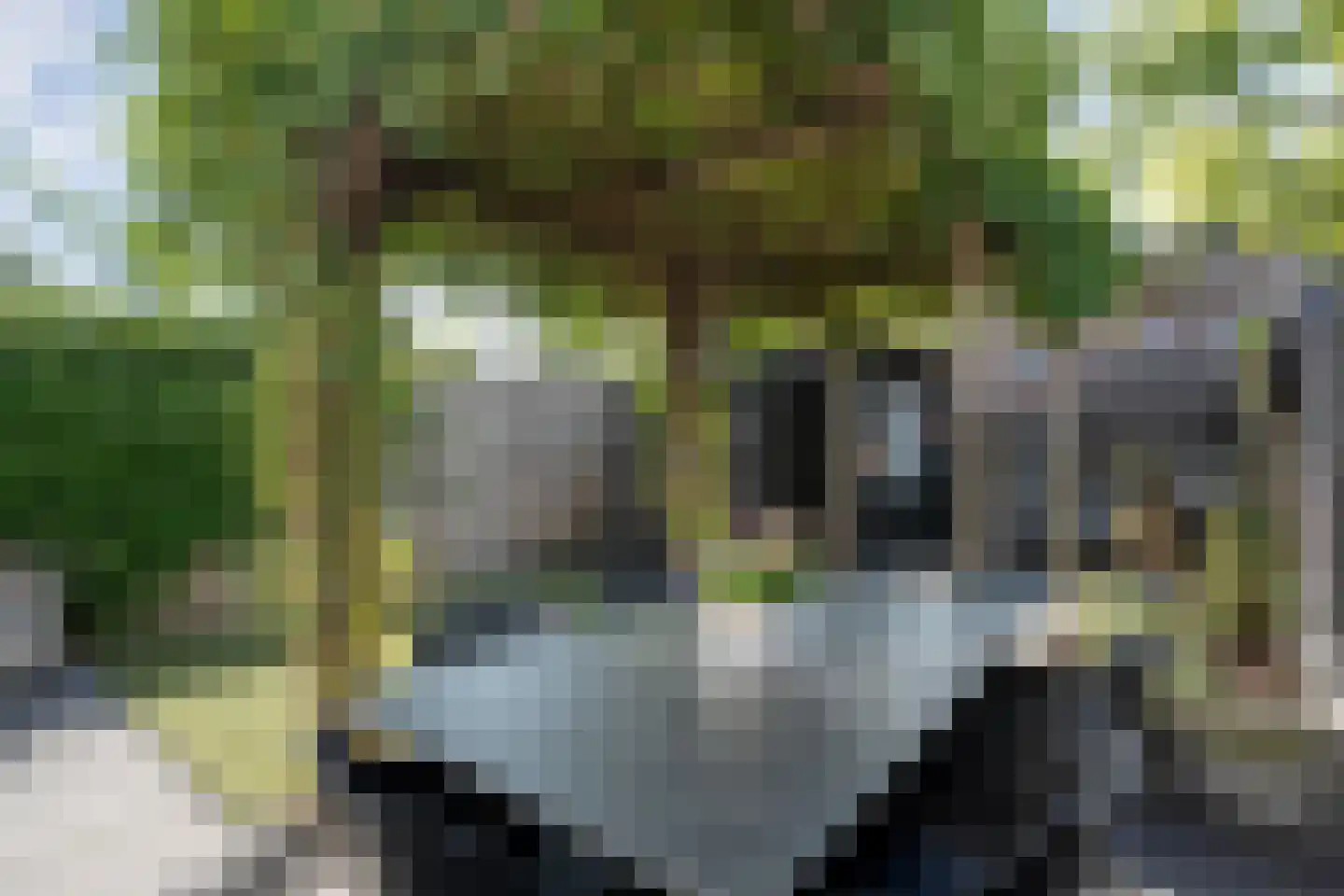 Harsseveldhoek 29 Enschede thumbnail 4