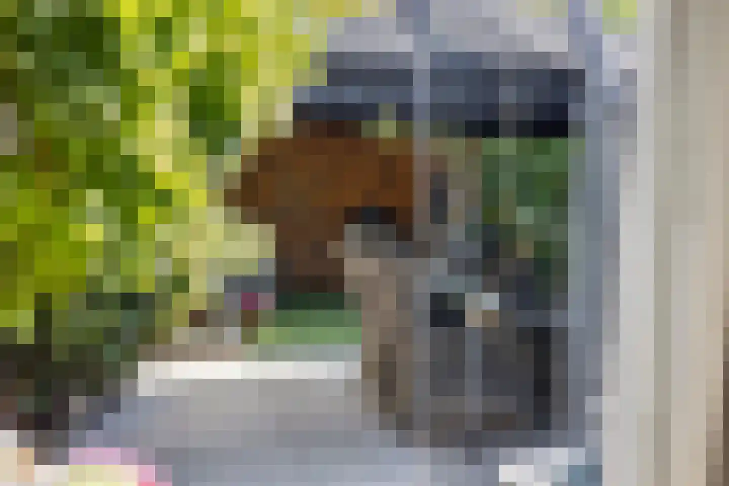 Harsseveldhoek 82 Enschede thumbnail 25