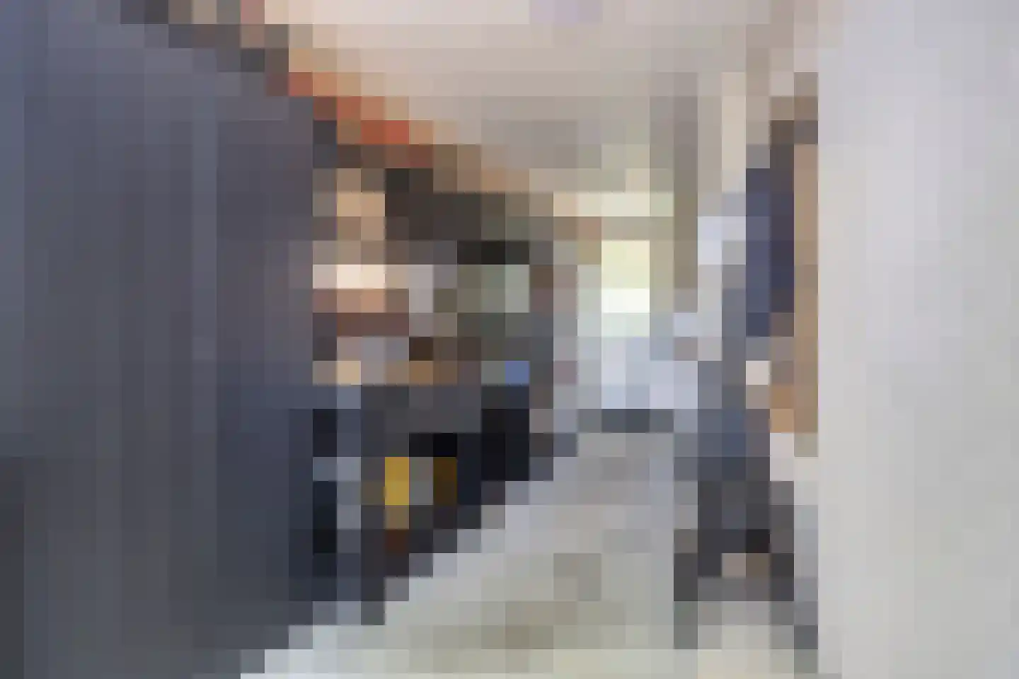 Harsseveldhoek 82 Enschede thumbnail 26