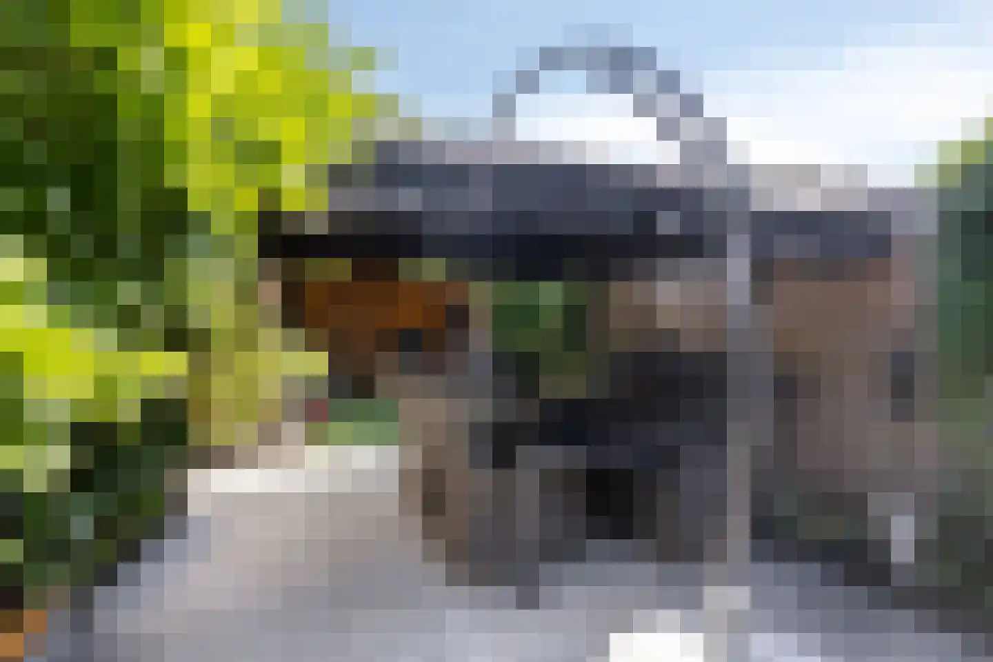 Harsseveldhoek 82 Enschede thumbnail 44