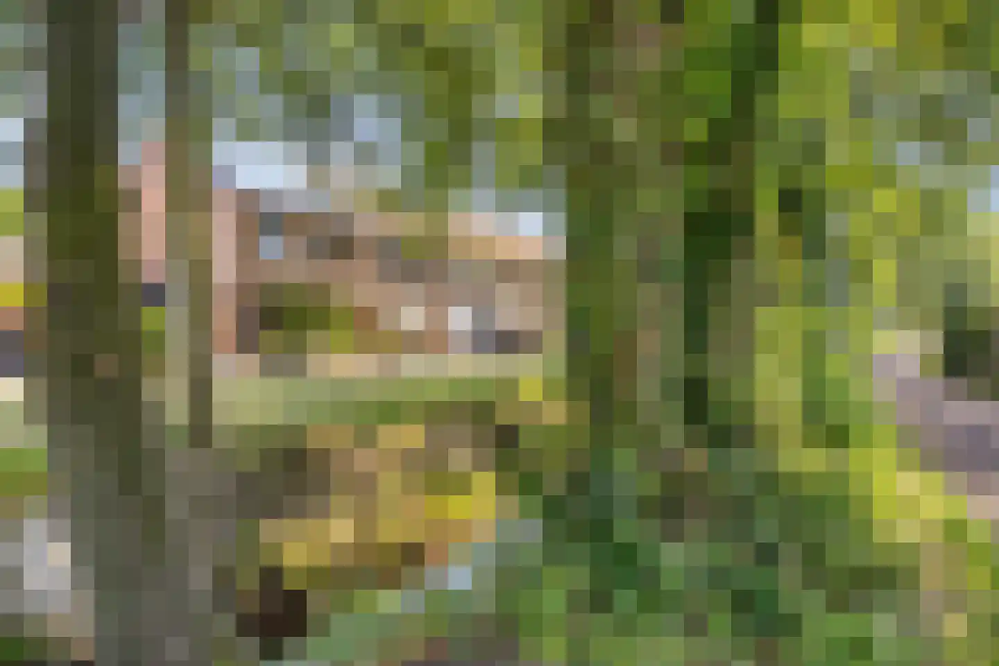 Harsseveldhoek 82 Enschede thumbnail 52