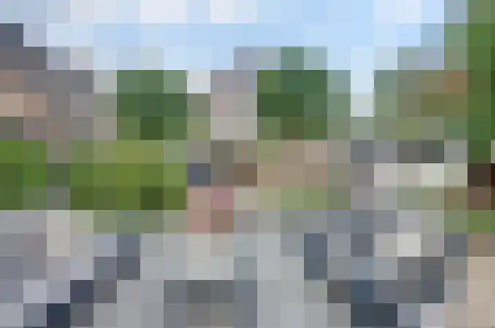 Harsseveldhoek 95 Enschede foto 3