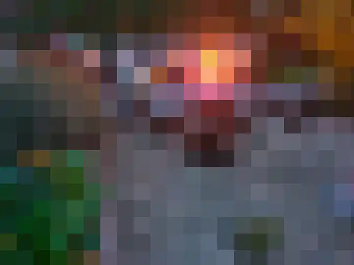 Harsseveldhoek 95 Enschede thumbnail 32