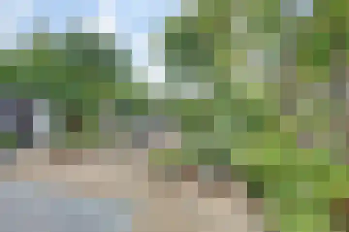 Harsseveldhoek 95 Enschede thumbnail 33
