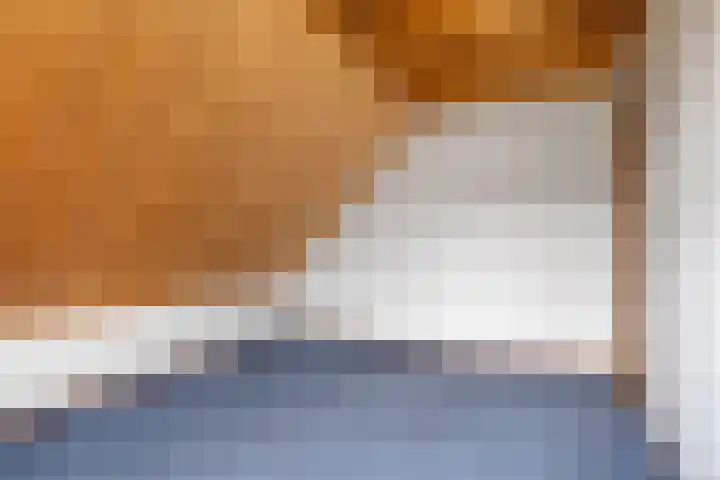 Harstastate 27 Leeuwarden thumbnail 25