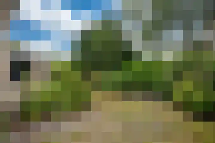 Harstastate 27 Leeuwarden thumbnail 31