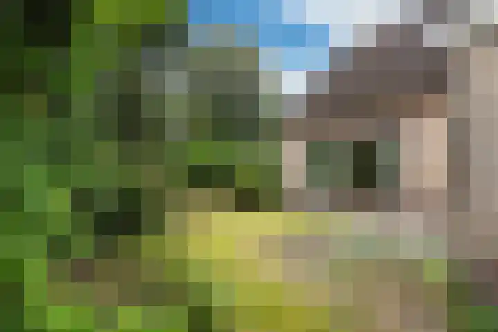 Harstastate 27 Leeuwarden thumbnail 33