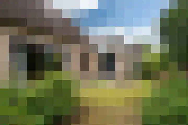 Harstastate 27 Leeuwarden thumbnail 34