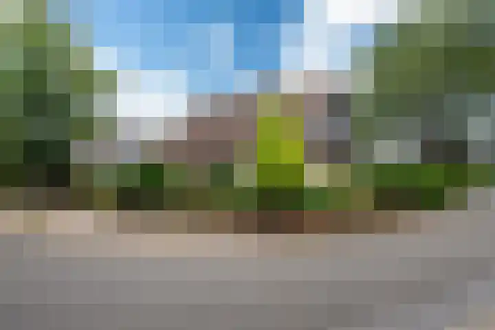 Harstastate 27 Leeuwarden thumbnail 39