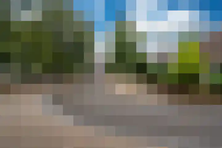Harstastate 27 Leeuwarden thumbnail 43