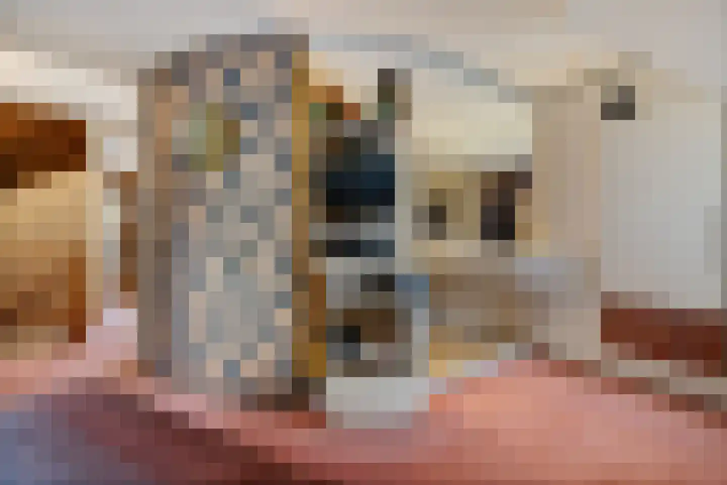 Harstastate 4 Leeuwarden thumbnail 21