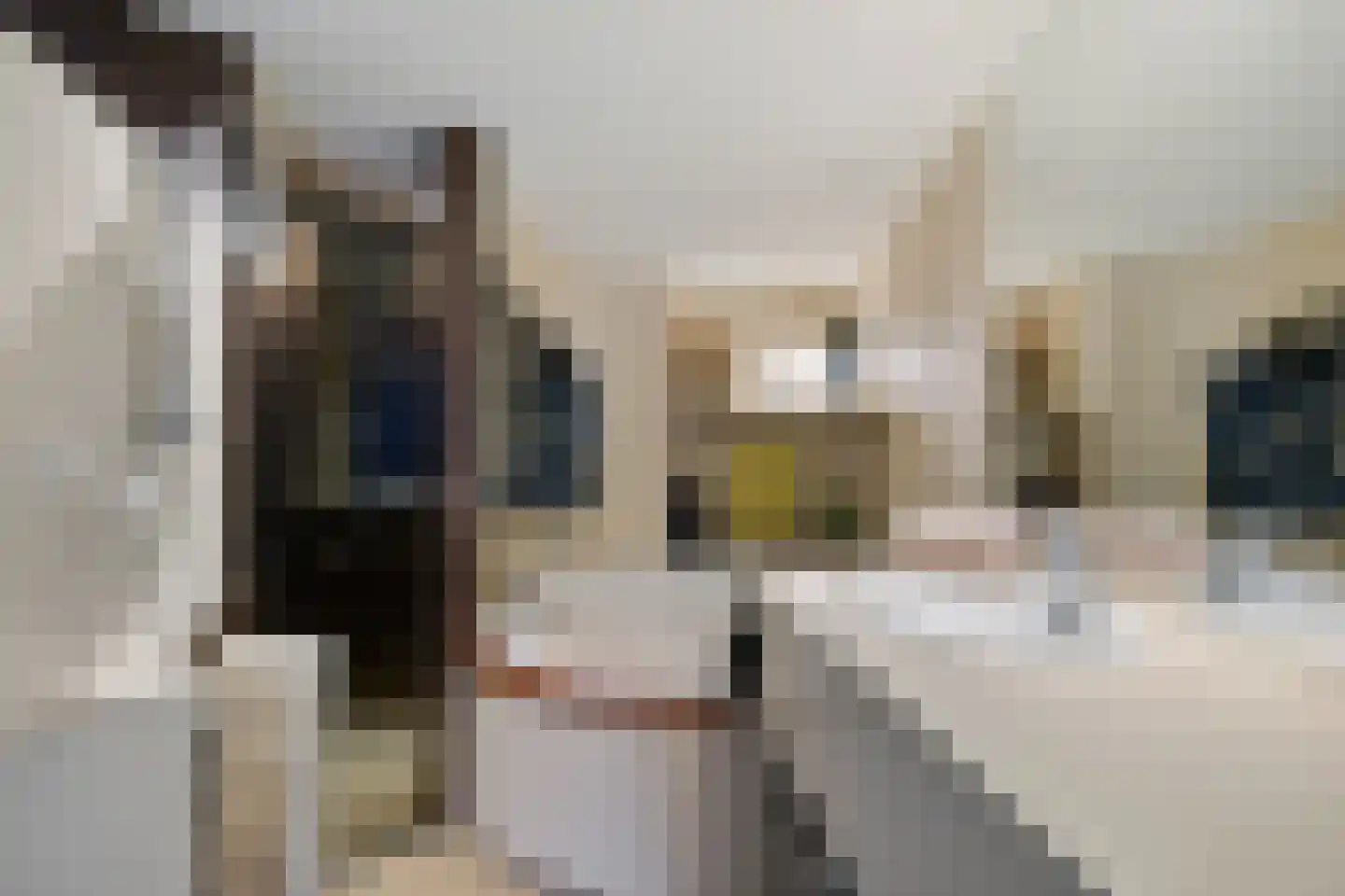 Harstastate 4 Leeuwarden thumbnail 22