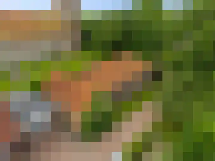 Harstawei 9 Ginnum thumbnail 29
