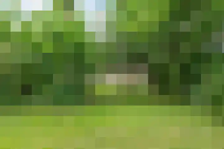 Harstawei 9 Ginnum thumbnail 30