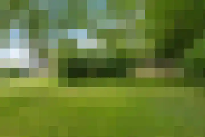 Harstawei 9 Ginnum thumbnail 4