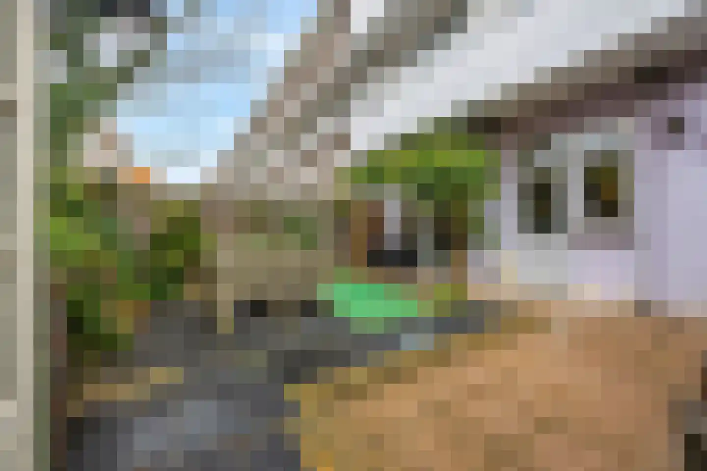 Harstenhoekweg 265 Den Haag thumbnail 18