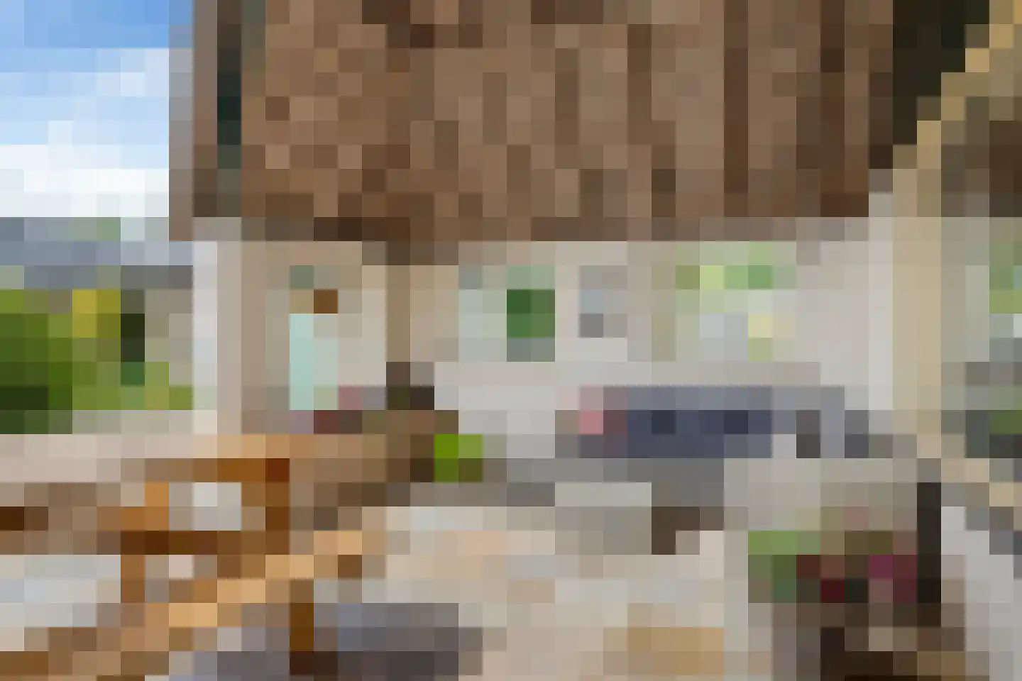 Harstewei 14 Sumar thumbnail 31