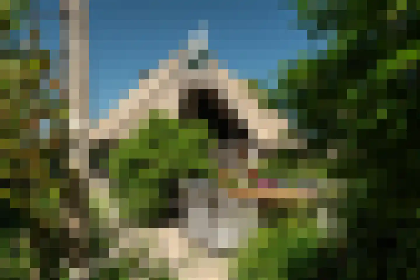 Harstewei 14 Sumar thumbnail 33