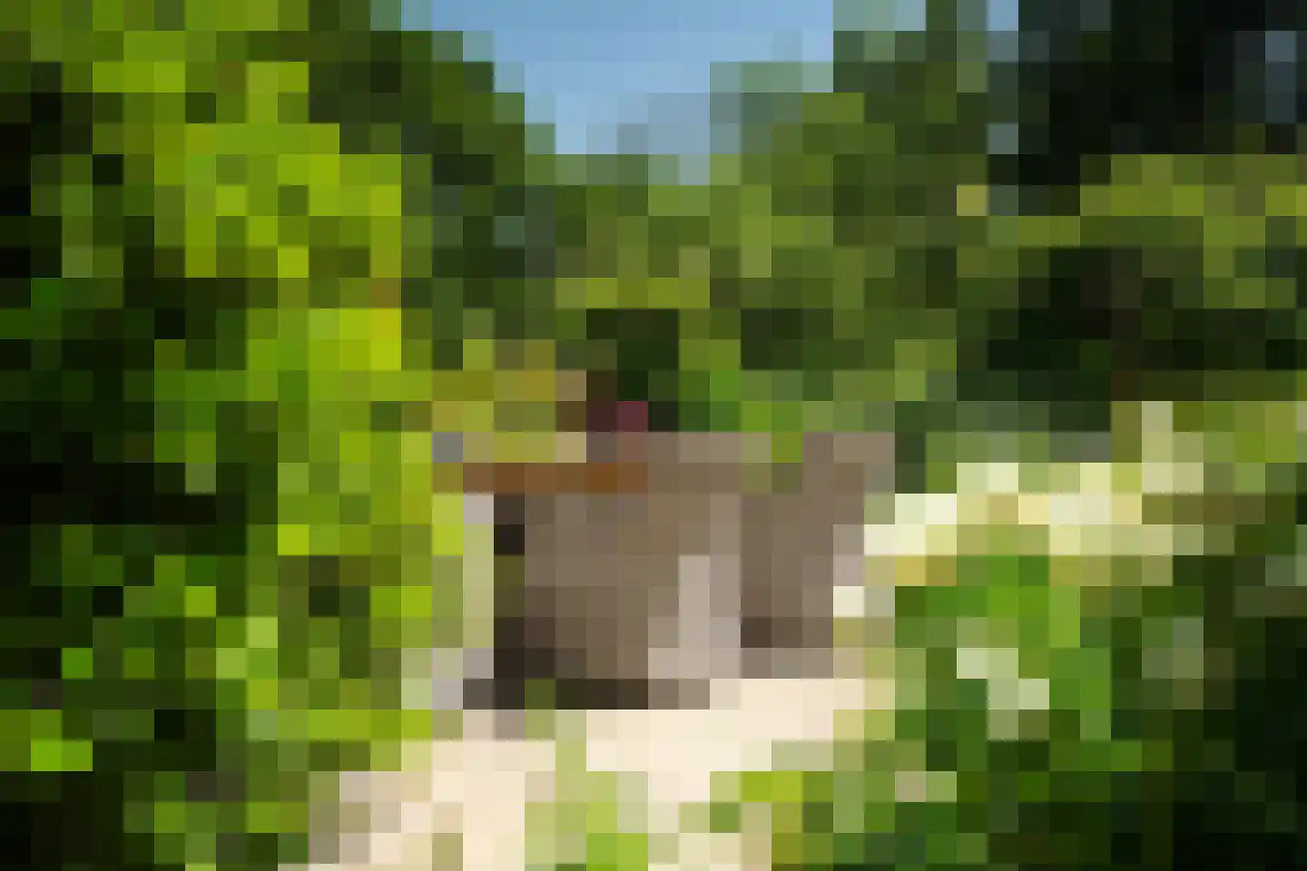 Harstewei 14 Sumar thumbnail 34