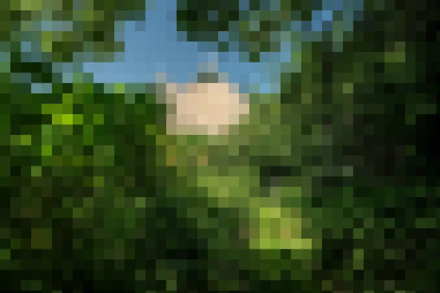 Harstewei 14 Sumar thumbnail 39