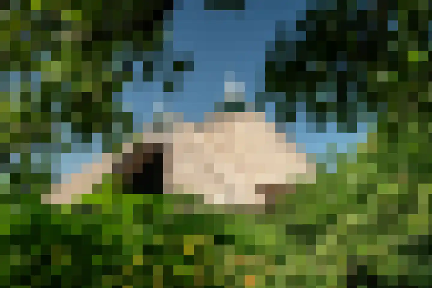 Harstewei 14 Sumar thumbnail 40