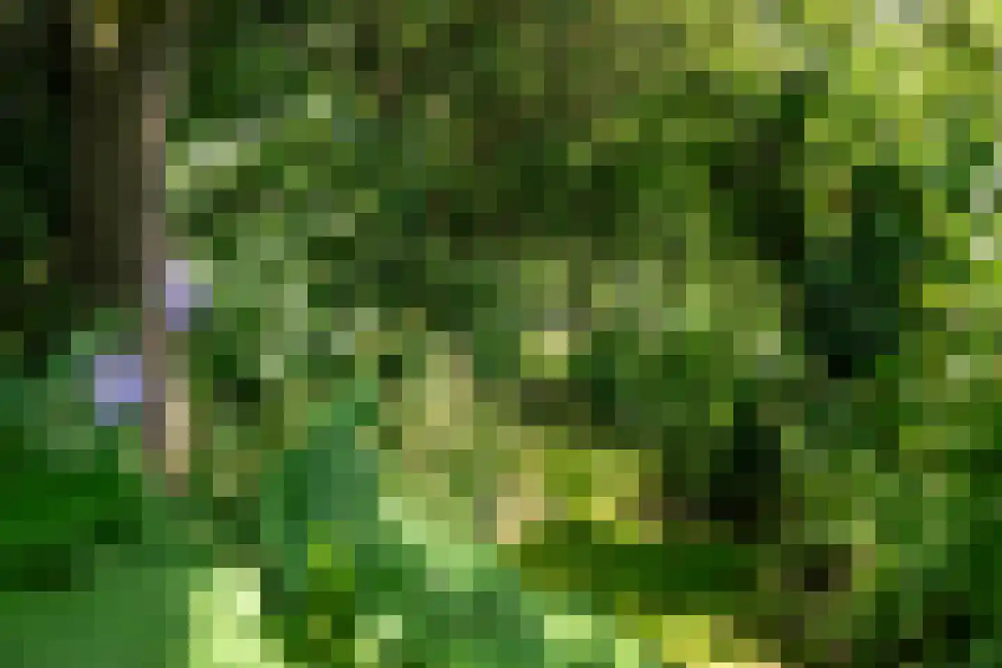 Harstewei 14 Sumar thumbnail 41