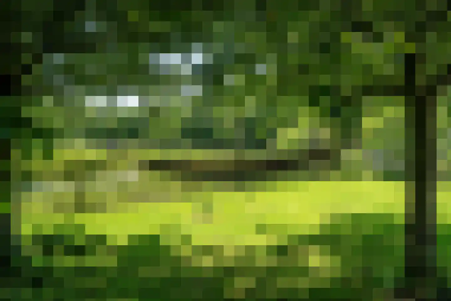 Harstewei 14 Sumar thumbnail 42