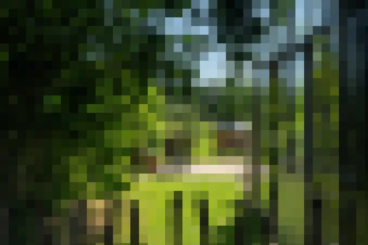Harstewei 14 Sumar thumbnail 43