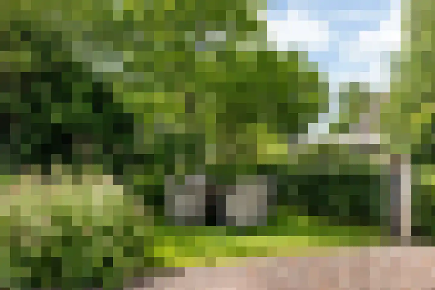 Harstewei 14 Sumar thumbnail 46