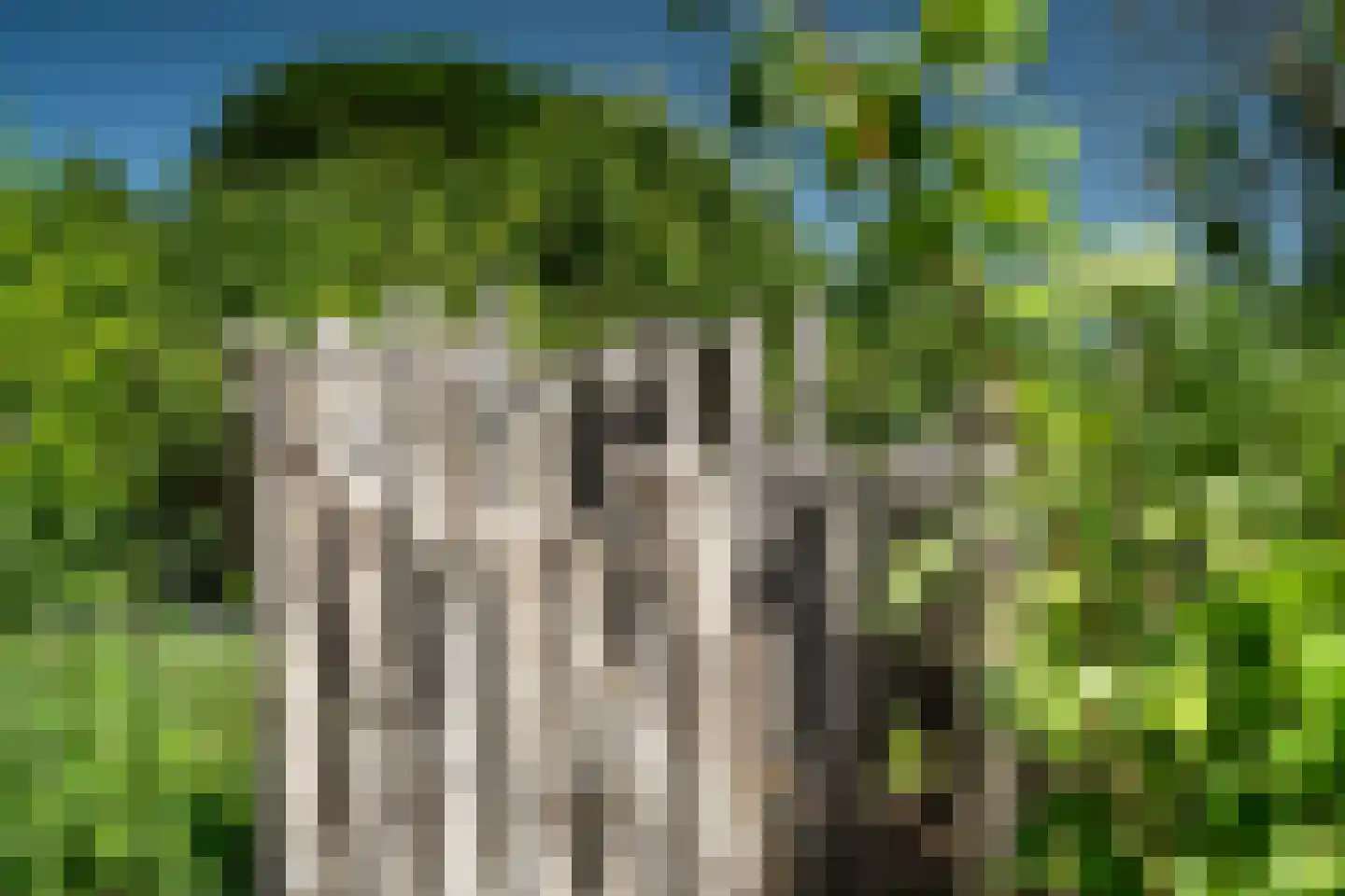 Harstewei 14 Sumar thumbnail 47