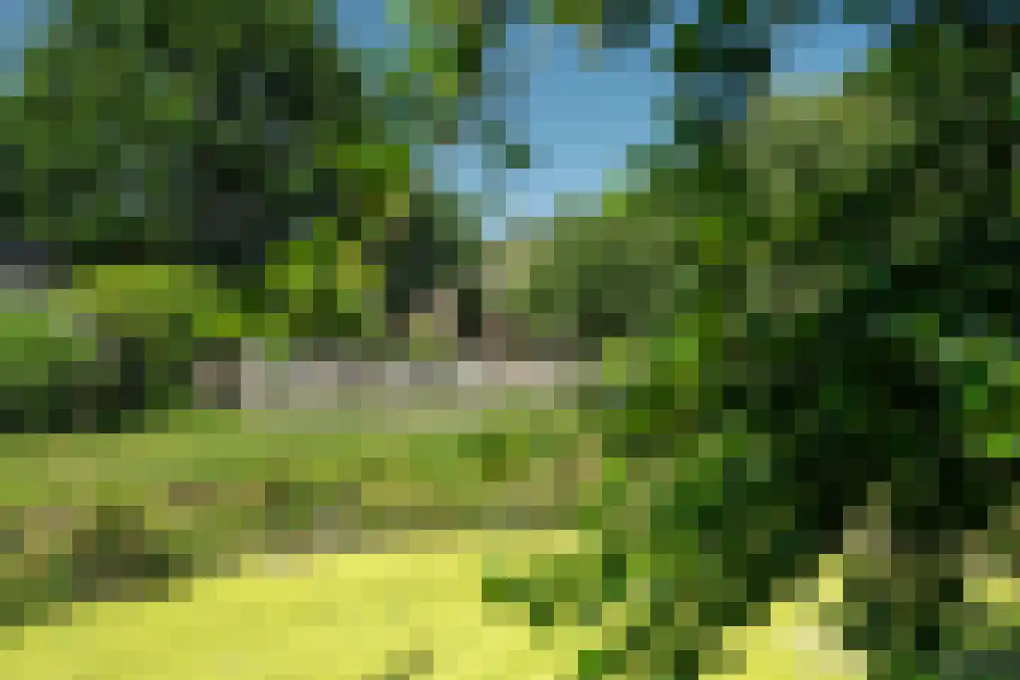 Harstewei 14 Sumar thumbnail 51