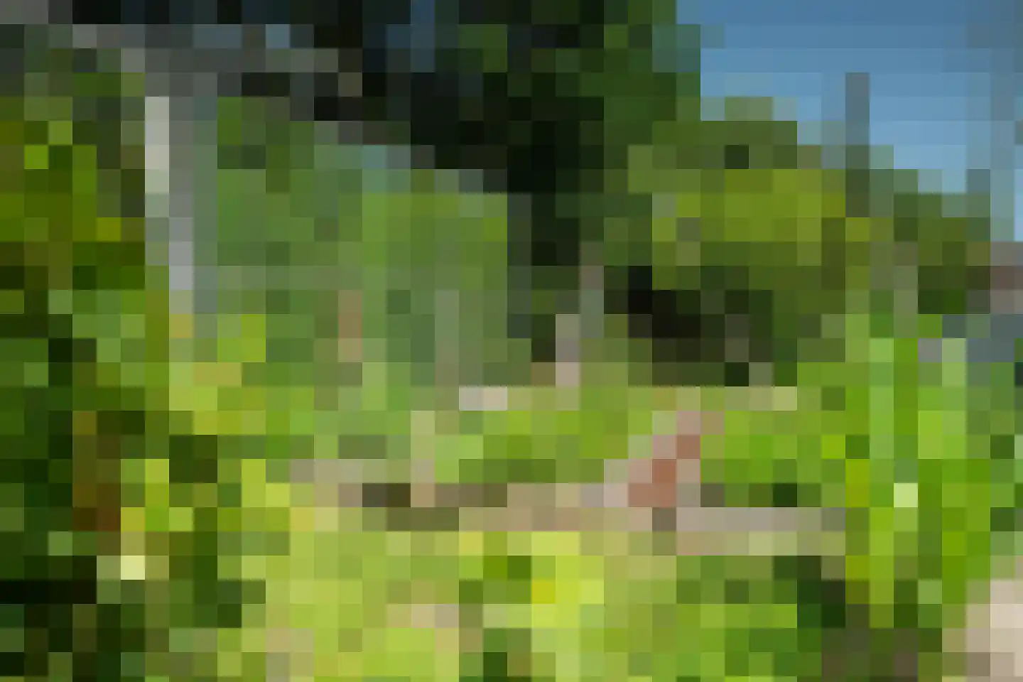 Harstewei 14 Sumar thumbnail 52