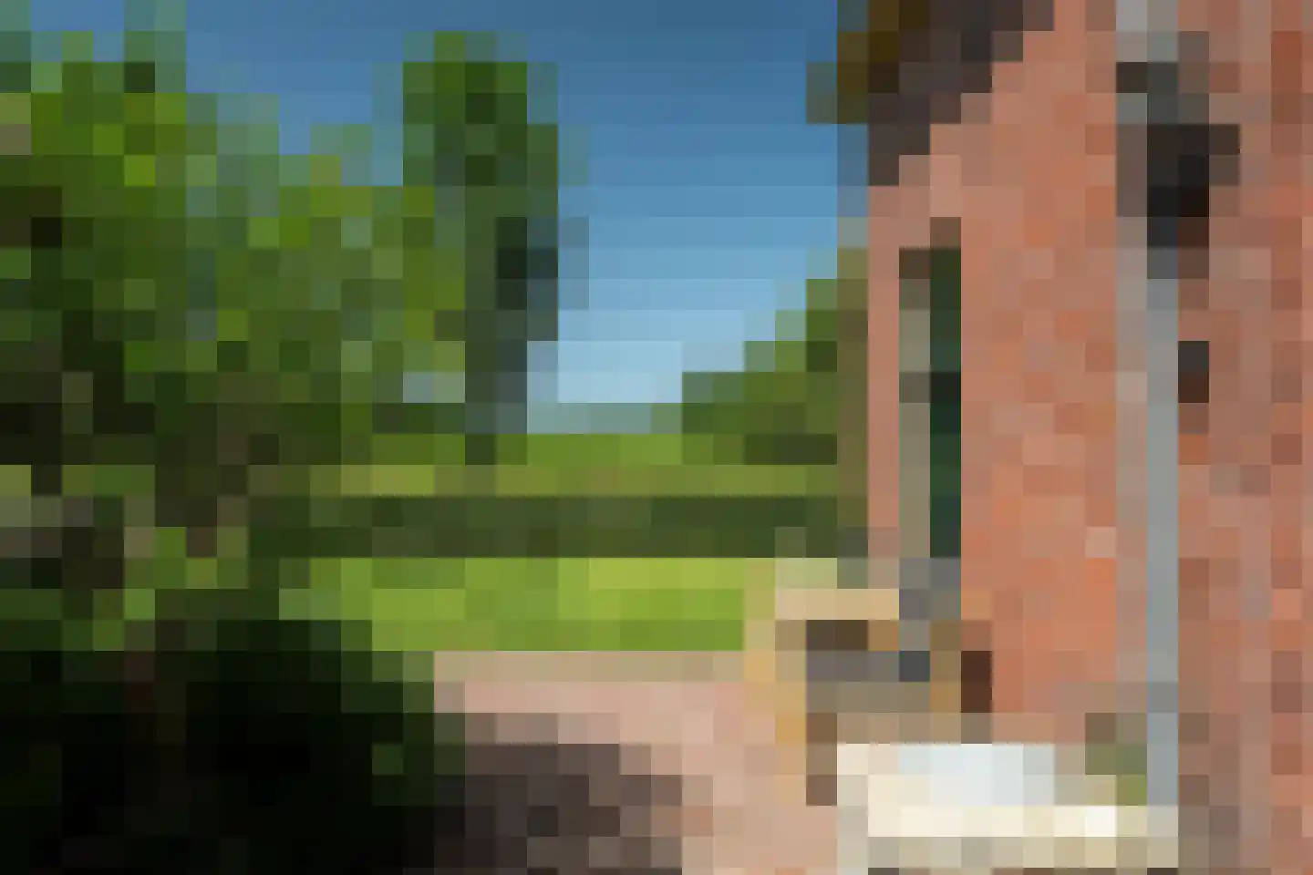 Harstewei 14 Sumar thumbnail 53