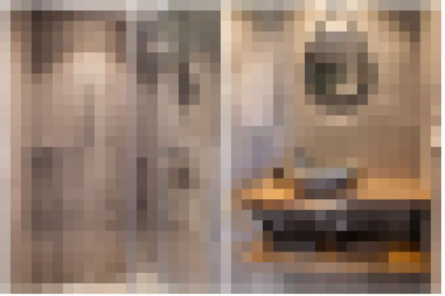 Harstewei 14 Sumar thumbnail 65