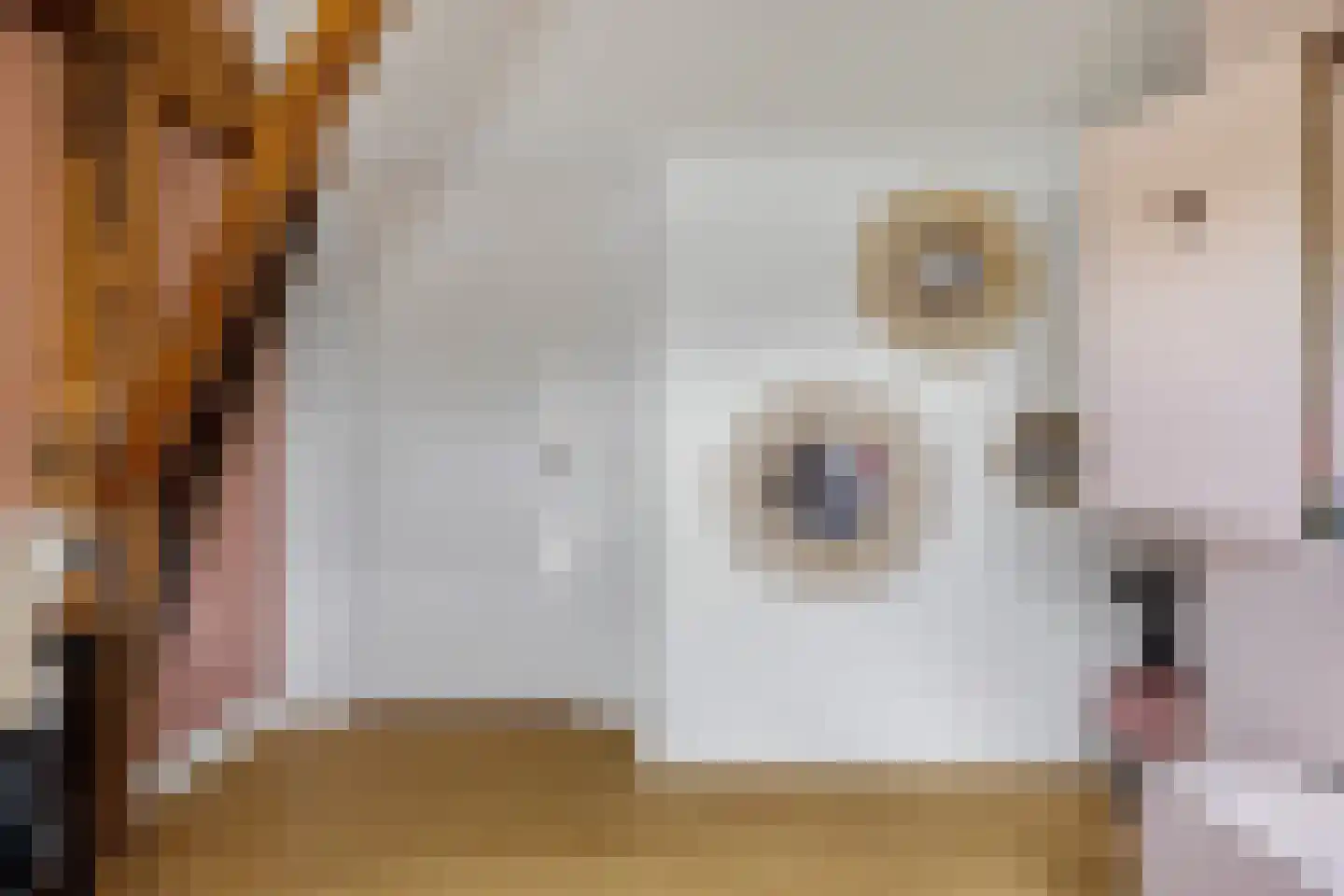 Harstewei 14 Sumar thumbnail 74
