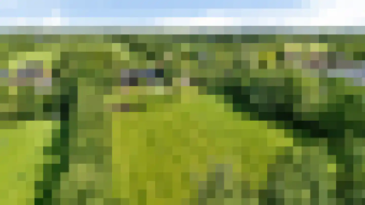 Harstewei 14 Sumar thumbnail 86