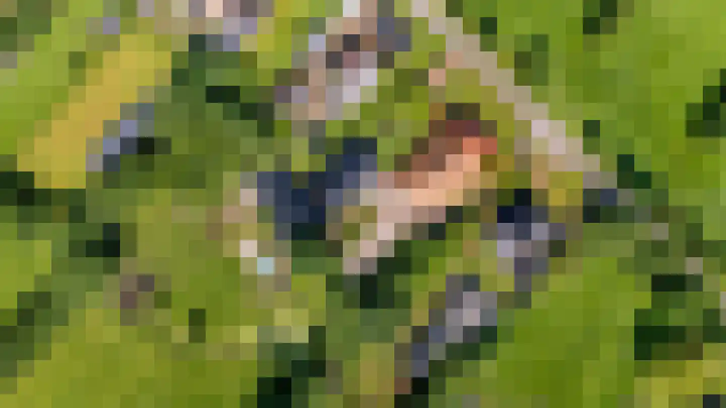 Harstewei 14 Sumar thumbnail 88