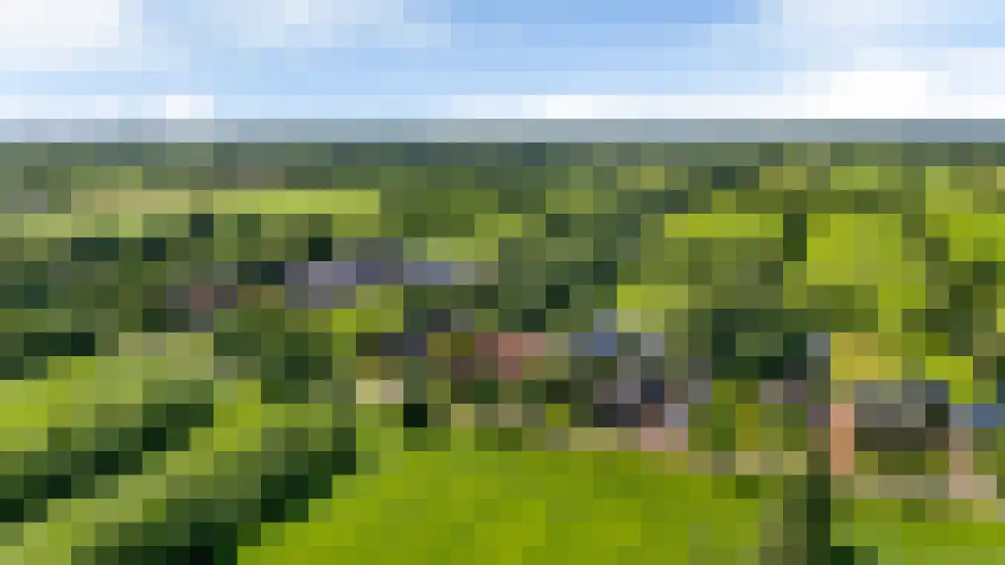 Harstewei 14 Sumar thumbnail 89