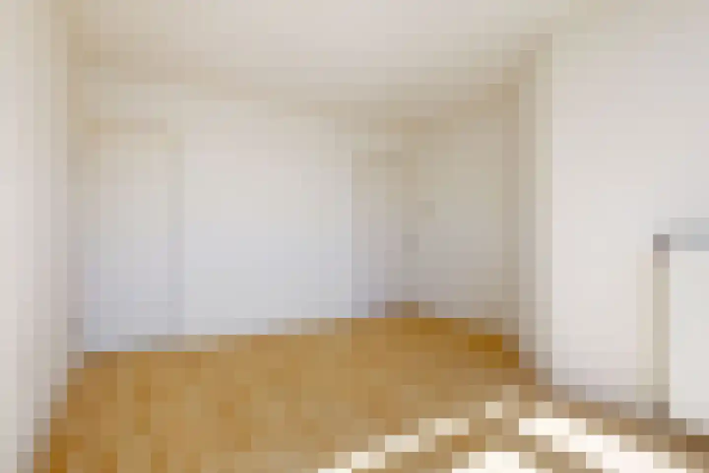 Hart Nibbrigkade 112 Den Haag thumbnail 19