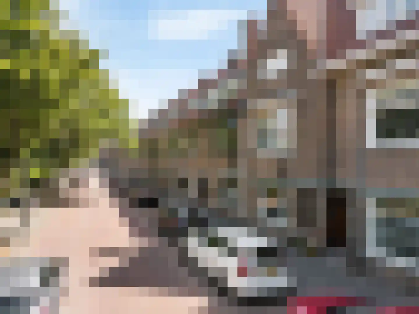 Hart Nibbrigkade 112 Den Haag thumbnail 28