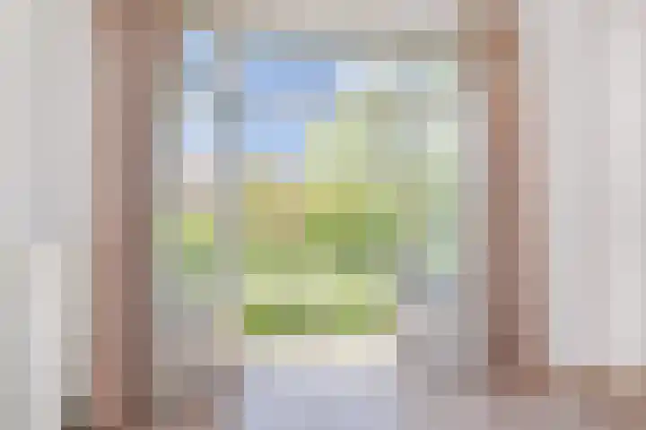 Hart Nibbrigkade 115 Den Haag thumbnail 11