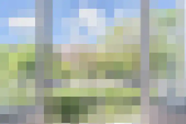 Hart Nibbrigkade 115 Den Haag thumbnail 12