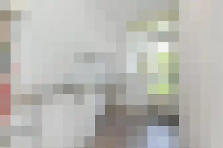 Hart Nibbrigkade 115 Den Haag thumbnail 15