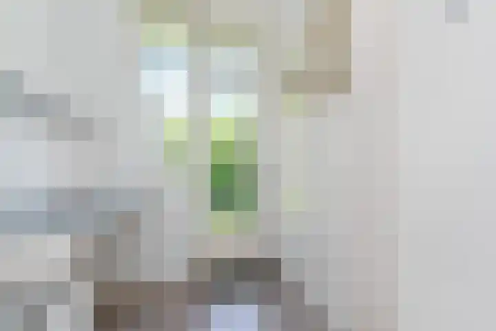 Hart Nibbrigkade 115 Den Haag thumbnail 16
