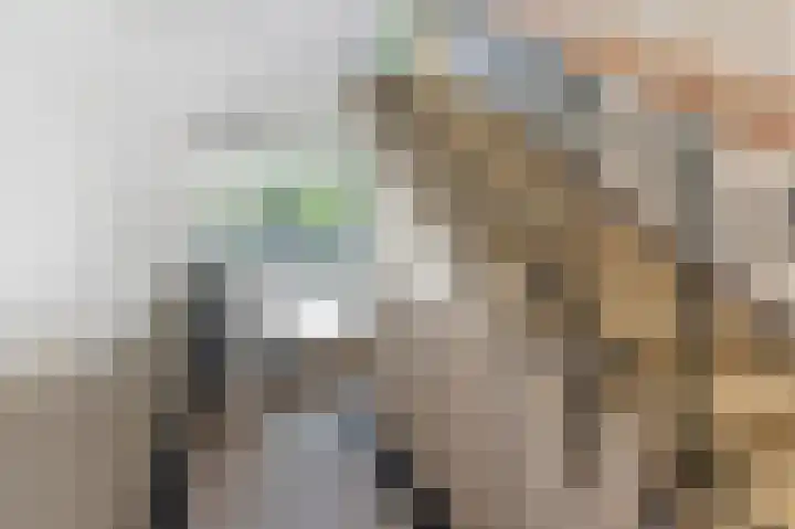 Hart Nibbrigkade 115 Den Haag thumbnail 4